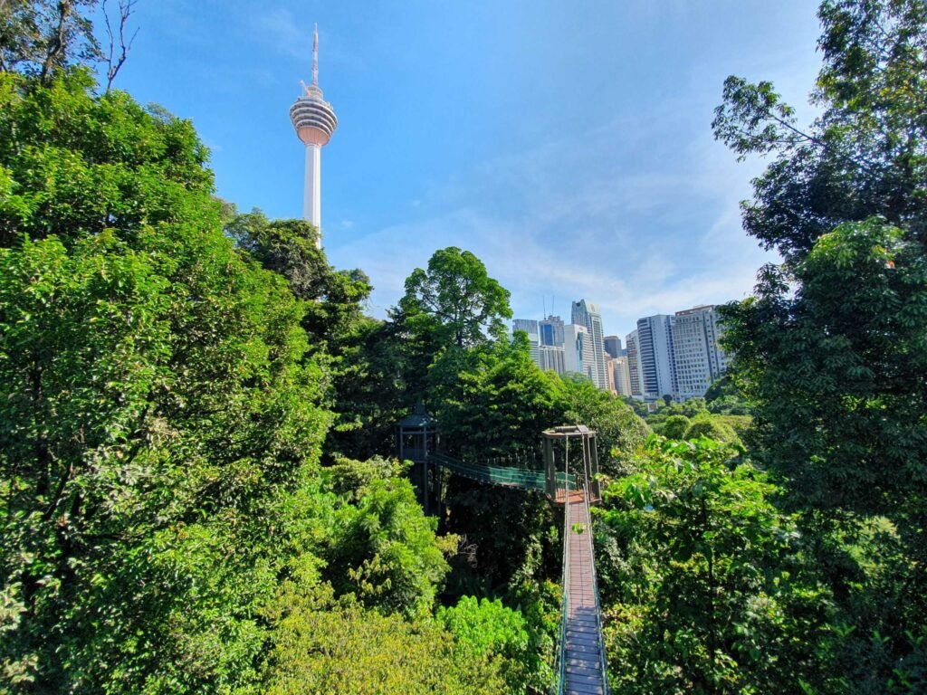Kuala_Lumpur_city_view_KL_Forest_Eco_Park11_3 Adventure seeker trekking through a lush jungle near Kuala Lumpur, discovering hidden natural gem